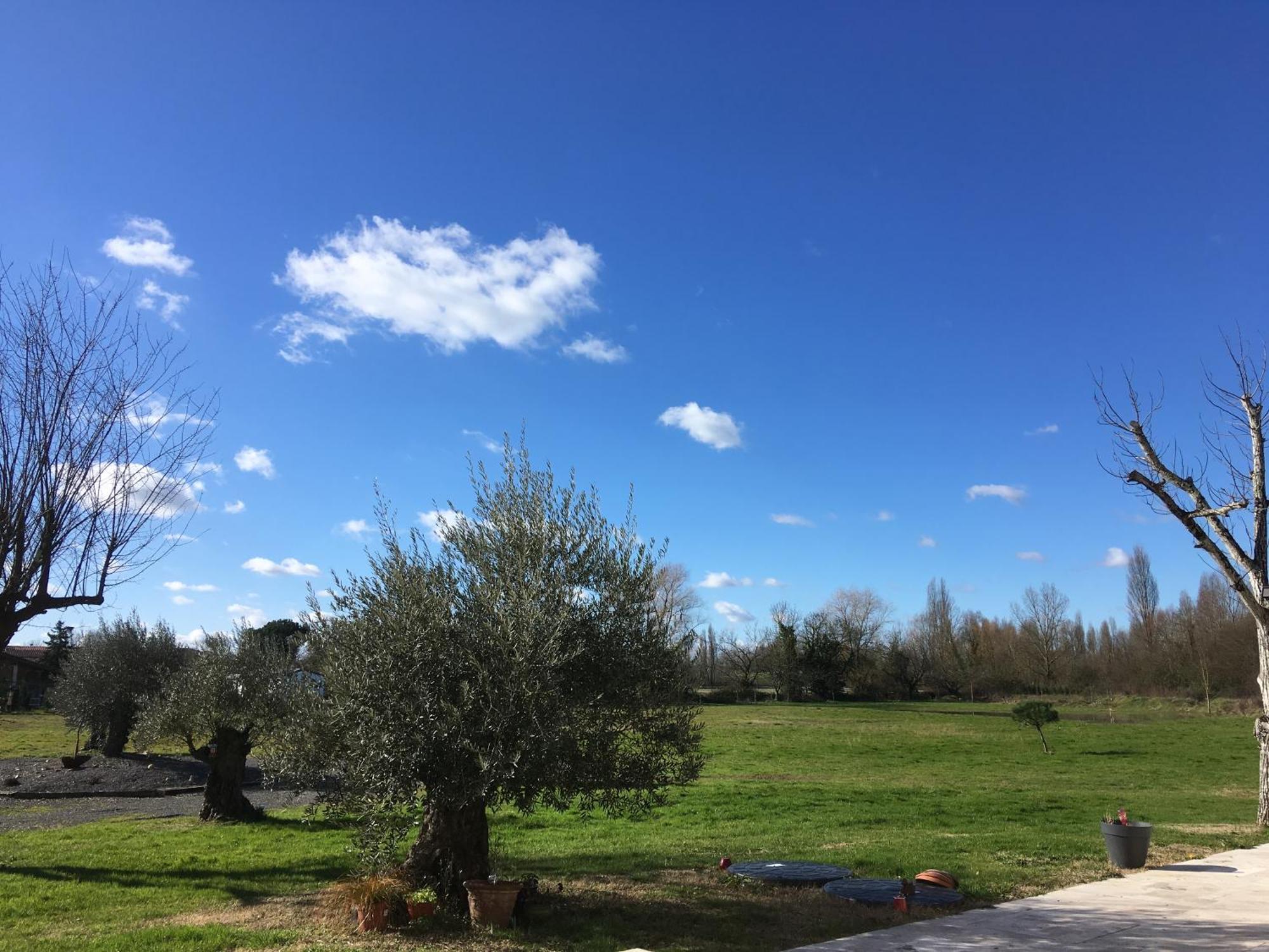 La Gelette Bed & Breakfast Génissac Dış mekan fotoğraf